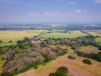 DJI_0013