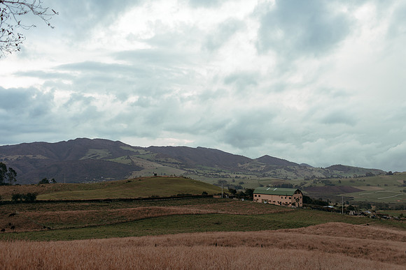 _DSC9516