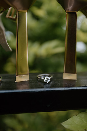 DSC_6973