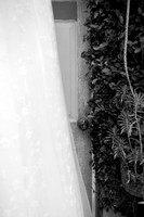 IMG_0056