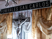 Maria del Carmen Najarro