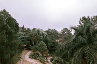 DJI_0037