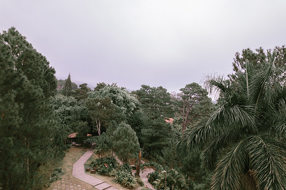 DJI_0037