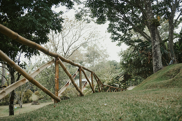 DSC_0551