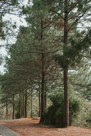 DSC_0559