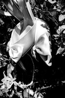 IMG_0089