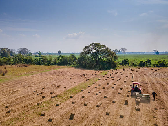 DJI_0010