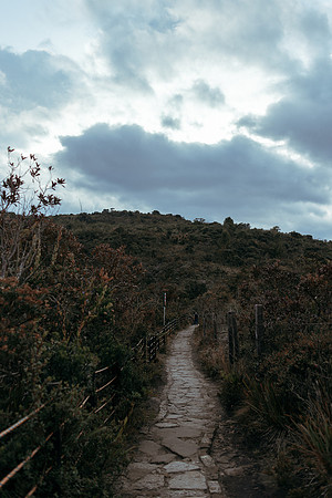 _DSC9512