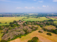 DJI_0013-2