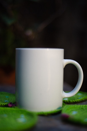 DSC_1271