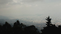 IMG_9306