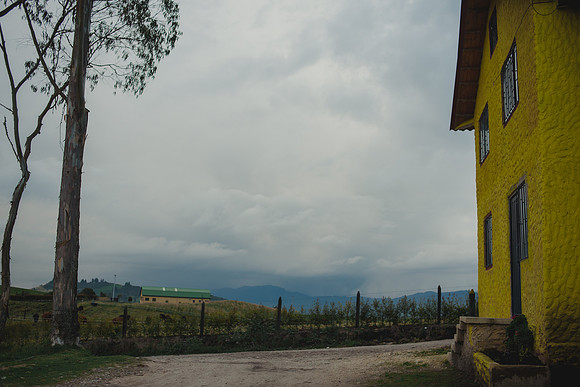 _DSC9523