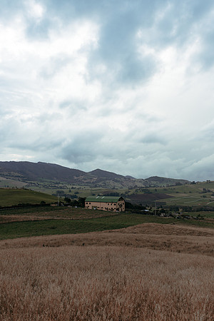 _DSC9514